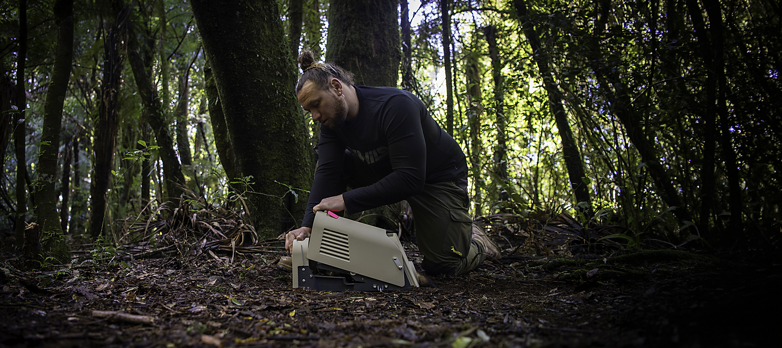 Rewild trap in New Zealand bush