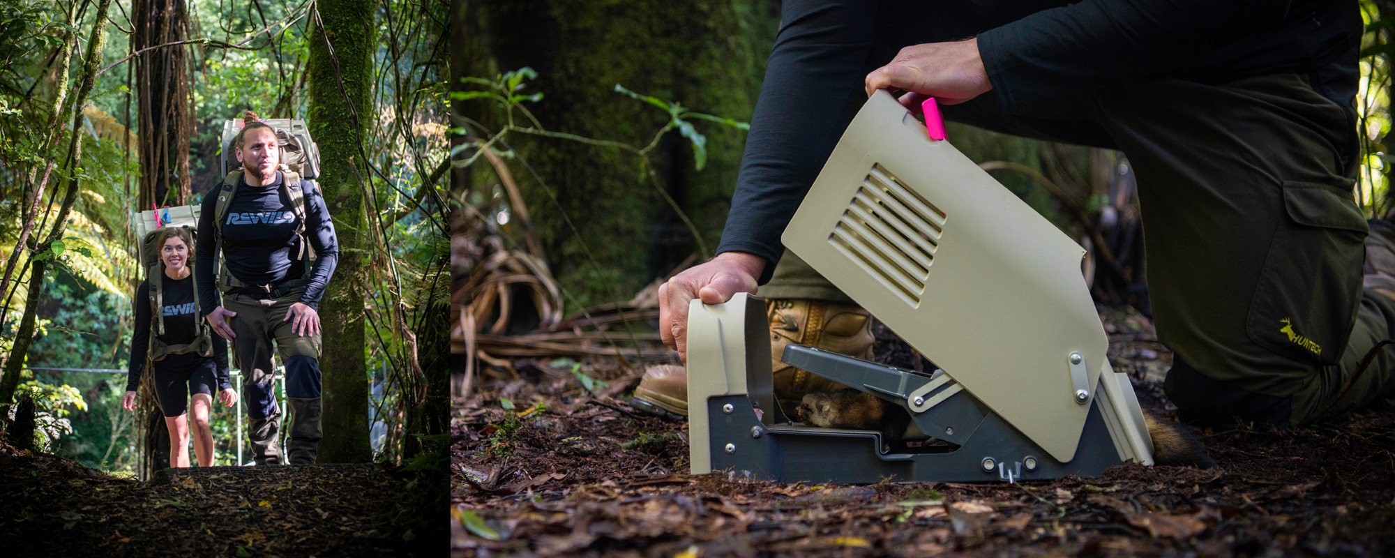 Rewild trap in a field setting